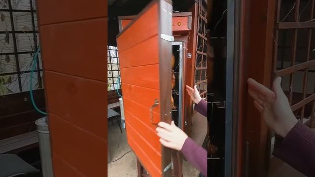 Окорочок горячего копчения. Скоро видео на канале! смотреть онлайн