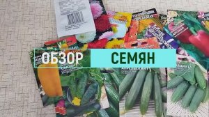 Обзор купленных семян. Что посадить в 2022 году