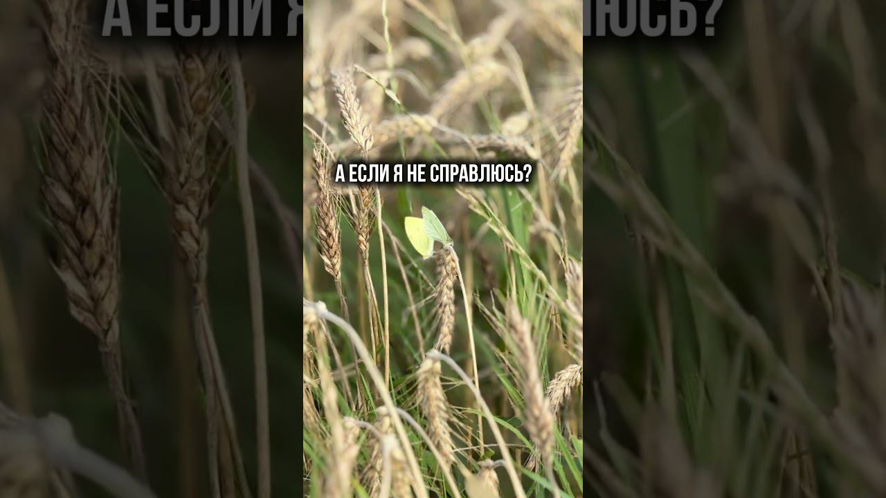 А вдруг не получится? pakhalevacoach психология бизнескоуч отношения саморазвитие страх