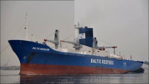 BALTIC REEFERS-СЕРЫЕ КАРДИНАЛЫ МИРОВОГО РЕФРИЖЕРАТОРНОГО ФЛОТА