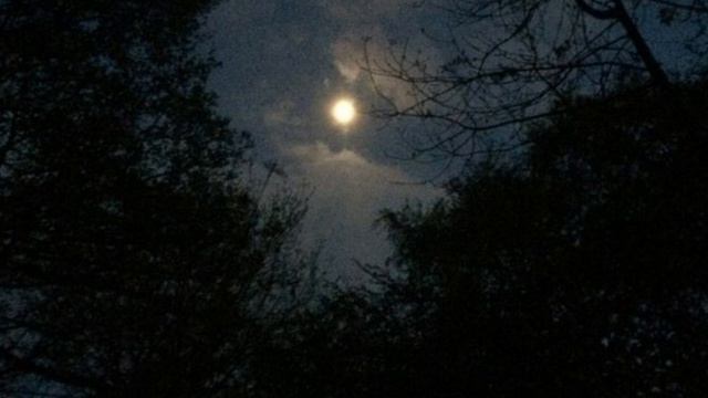 озвучка фанфика "Близость" || avtobus_lera смотреть онлайн