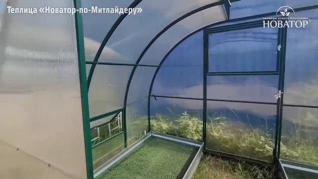 Теплица по Митлайдеру