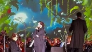 «LA DONNA E MOBILE». Валерий Макаров.
