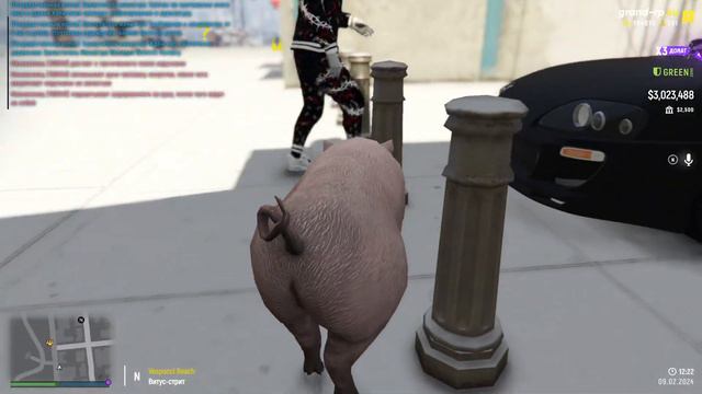 СТАЛ КАБАНОМ В ГТА 5 РП / НЕАДЕКВАТНАЯ ПОЛИЦИЯ НА ГРАНД РП / GRAND RP смотреть онлайн