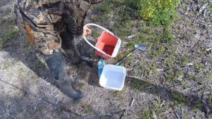 Сбор брусники и шишек!!!