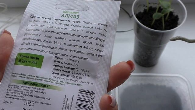 VLOG Жизнь цветочницы 06.03.2020/ #Покупки #Фикс Прайс / Суперские кашпо для #орхидей смотреть онлайн