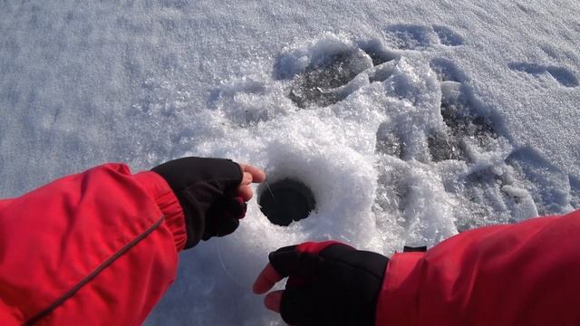 Рыбалка весной 2020 года, когда что то пошло не так.Рыбалка в марте на Аргазях. смотреть онлайн