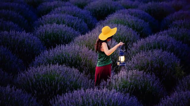 Слайдшоу. Эпизоды. Оформление. Стиль слайда: динамичная смена фото, быстрые переходы.. смотреть онлайн