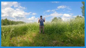 Признаю, он победил,  про индюков (минус два) , прополка плантации свеклы! Деревенские будни.