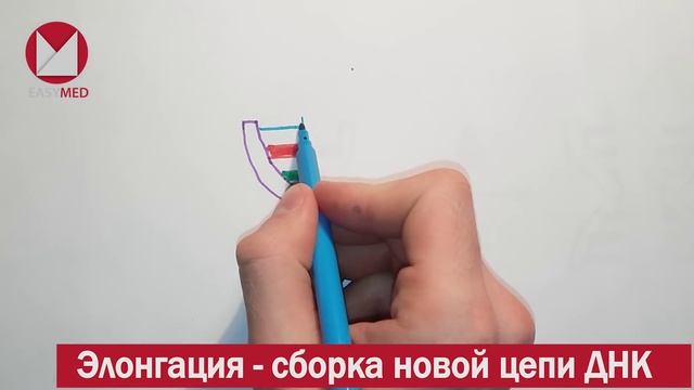 EasyMED. Часть 3 - Ты станешь папой.