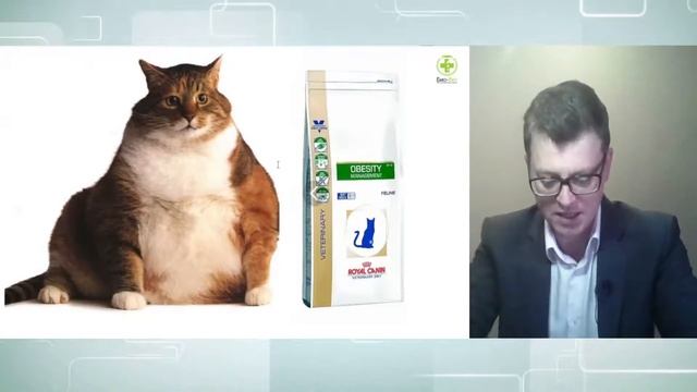 Ожирение домашних животных