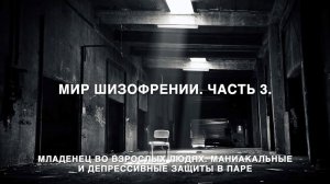 Мир Шизофрении. Часть 3 Младенец во взрослых людях. Маниакальные и депрессивные защиты в паре