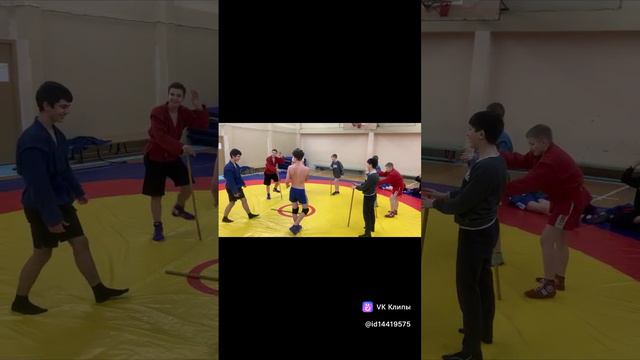 Самбо смотреть онлайн