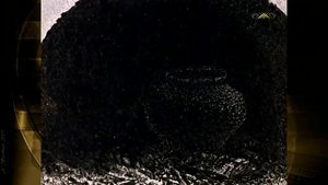 Василий! Василий!!! Василий....