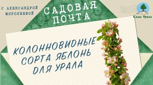 Садовая почта: Сорта колонновидных яблонь для Урала и Сибири. Выпуск 16