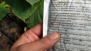 Подкормка огурцов гумат калия!