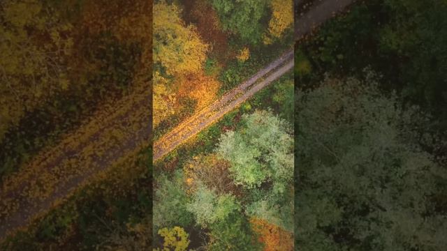 Лера Астрооберег, делает прогноз на 5 мая. Смотреть сейчас! смотреть онлайн