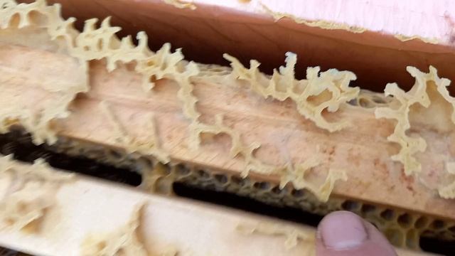 Гидравлический тормоз наката, пчелы вновь сжались в клуб смотреть онлайн