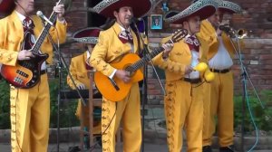 Мексиканская гитара Москва, 8(985)920-36-97