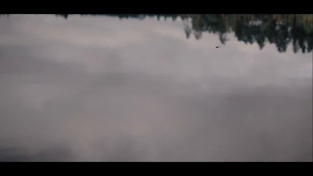 Canon EOS R6 смотреть онлайн