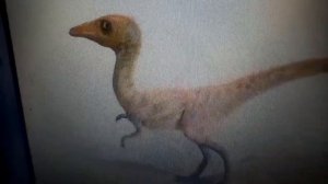 Самый маленький динозавр! Компсогнат