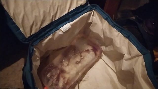 Меченосцы Кинг-Конг производители сегодня утром в Москве Садовод Птичий рынок 2 линия 25 место!!! смотреть онлайн