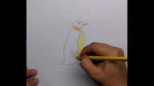 Как нарисовать пингвина