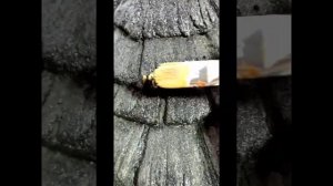 Сказочный домик из цемента своими руками.