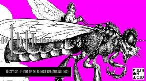 Dusty Kid - Flight of the Bumble Bee (Original Mix)
