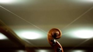 Antonio Stradivari, Guarneri del Gesu, Amati & other fine violins...