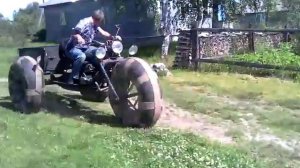 встаём на дыбы