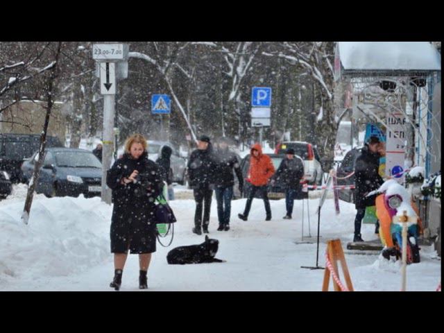 Выпал снег. Памяти Николая Рубцова и Валерия Гаврилина.