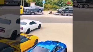 Суетолог 80-го уровня.