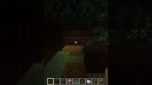 квест: найди ключевое слово 6 | найди буквы | еловый лес майнкрафт смотреть онлайн