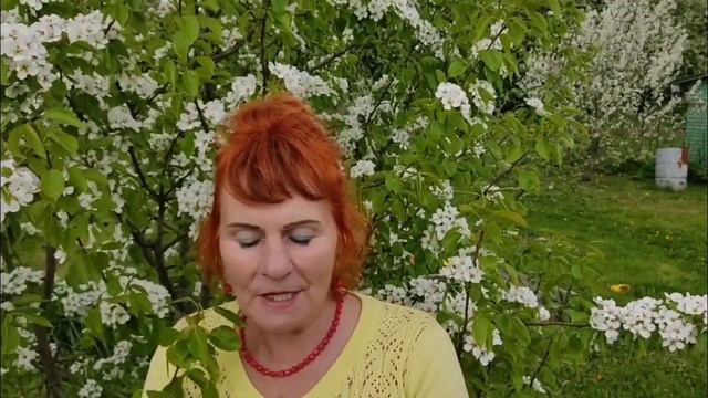 Крошка - шпинат. Автор Юлия Федосеева смотреть онлайн