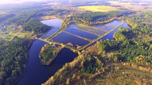 Рыбное хозяйство «Щарка» с высоты птичьего полёта.