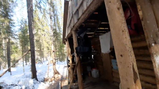 В таежную избушку. На весеннию рыбалку.