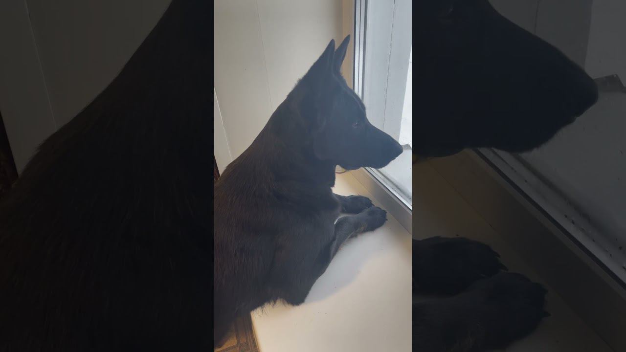 17 февраля 2024 г. смотреть онлайн