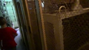 В кабине машиниста - Илюша управляет настоящим локомотивом / Играем в паровозики Томас и друзья