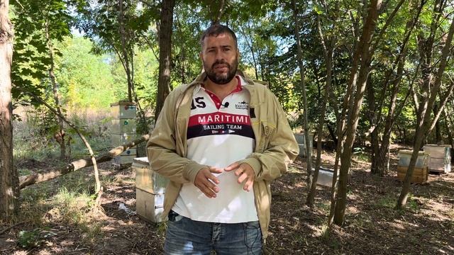 цена меда смотреть онлайн