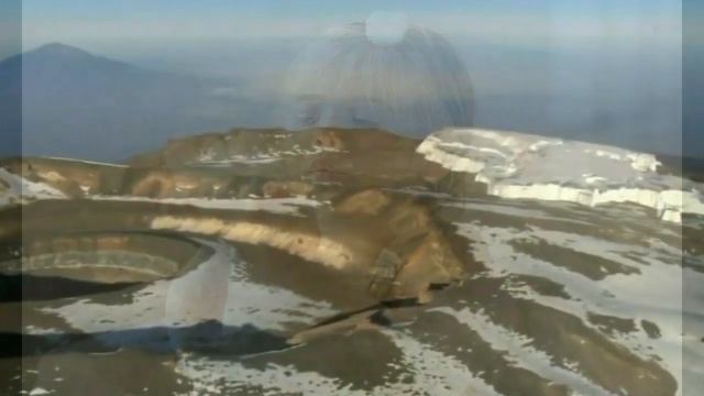 Каким будет год крысы 2020 смотреть онлайн