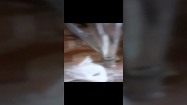 20230522_134830.mp4