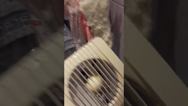 Чистка вытяжки vents смотреть онлайн