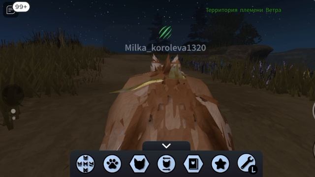 сотка..
