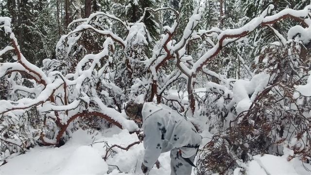 Привал в Тайге на Охоте / Яичница с Беконом на Костре / Обед в Красивом Месте / Готовим на Костре.