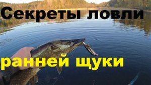 Секреты ловли ранней щуки