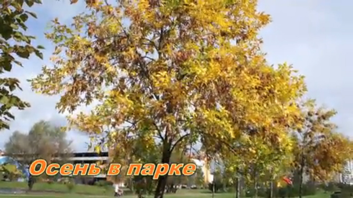 ОСЕНЬ В ПАРКЕ.. смотреть онлайн