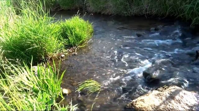 Шум реки для крепкого и здорового сна детей и взрослых. Расслабляющие звуки природы.