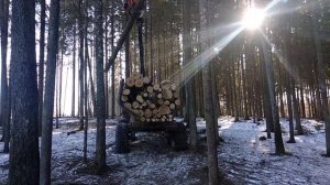 Лесовозный прицеп Тигер