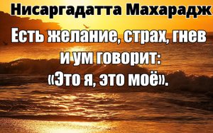 БЕСПОКОЙНЫЙ УМ ПОДОБЕН БЕСПОКОЙНЫМ ВОДАМ ОЗЕРА, ЗАСТАВЛЯЮЩИМ ТАНЦЕВАТЬ ЛУНУ. НИСАРГАДАТТА МАХАРАДЖ.